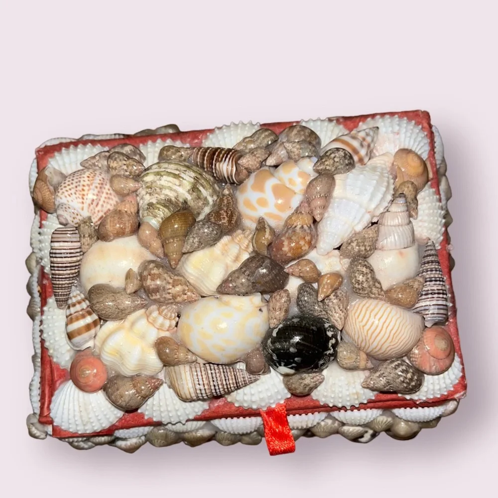 Seashell Box - Picture 2 of 3